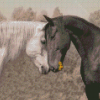 Two Horses In Love Diamond Painting