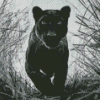 Black And White Panther Diamond Painting