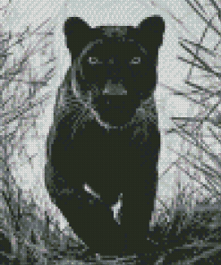 Black And White Panther Diamond Painting