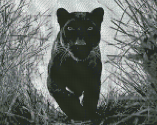 Black And White Panther Diamond Painting