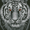 Black And White Tiger Diamond Painting