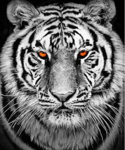 Black And White Tiger Diamond Painting