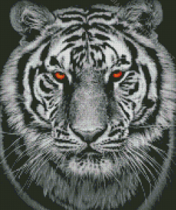 Black And White Tiger Diamond Painting