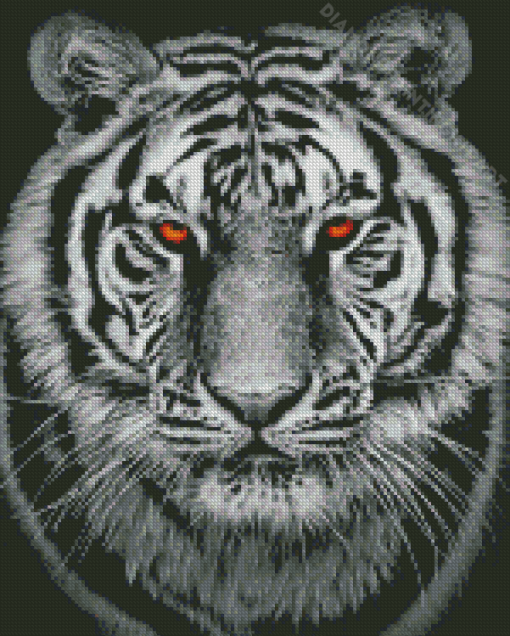 Black And White Tiger Diamond Painting