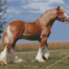 Blonde Shire Horse Diamond Painting