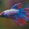 Colorful Purple Betta Fish Diamond Painting