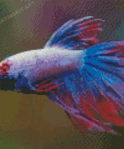 Colorful Purple Betta Fish Diamond Painting