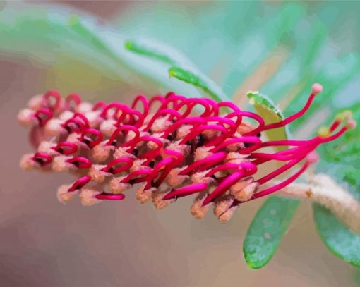 Fuchsia Grevillea Diamond Painting