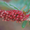 Fuchsia Grevillea Diamond Painting