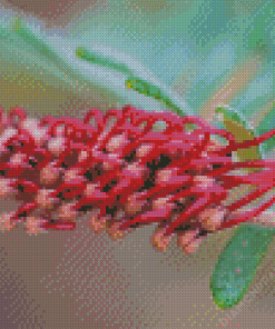 Fuchsia Grevillea Diamond Painting