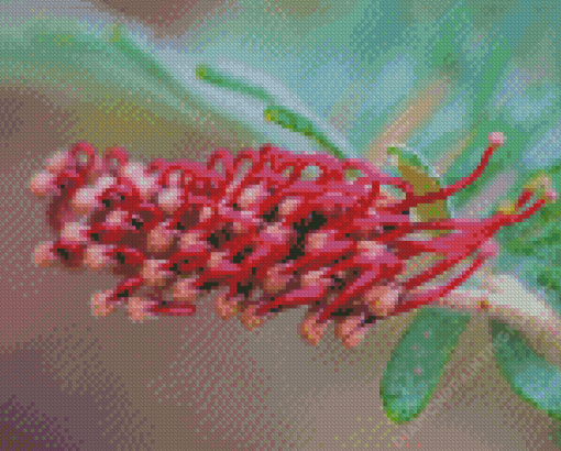 Fuchsia Grevillea Diamond Painting