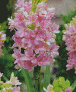 Pink Tuberose Flowers Diamond Painting