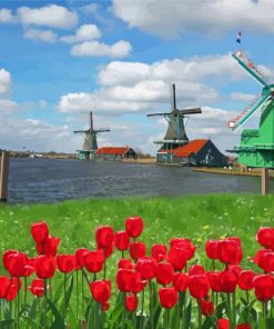 Red Tulips Zaanse Schans Diamond Painting