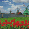 Red Tulips Zaanse Schans Diamond Painting