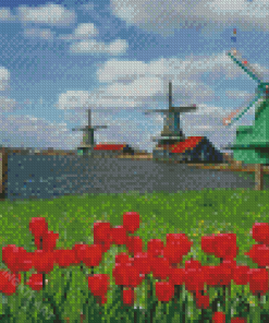 Red Tulips Zaanse Schans Diamond Painting