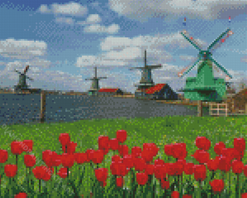 Red Tulips Zaanse Schans Diamond Painting