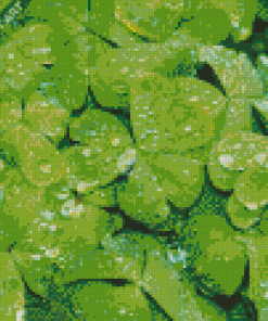 Shamrocks Green Leaves Diamond Painting