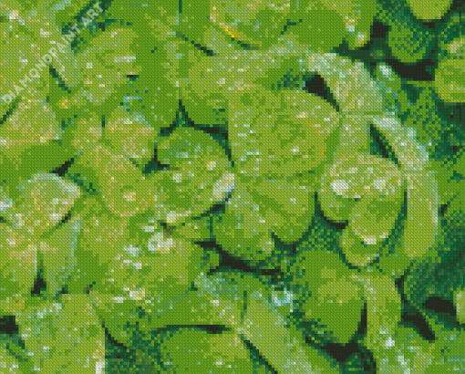 Shamrocks Green Leaves Diamond Painting