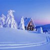 Snow Covered Trees And House Diamond Painting