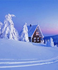 Snow Covered Trees And House Diamond Painting