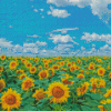 Sunflower Filed With Blue Sky Diamond Painting