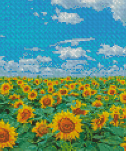 Sunflower Filed With Blue Sky Diamond Painting