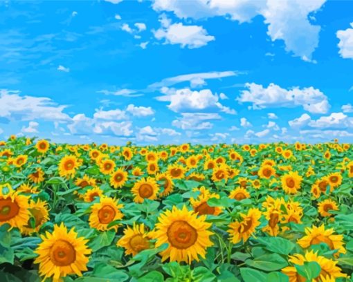 Sunflower Filed With Blue Sky Diamond Painting