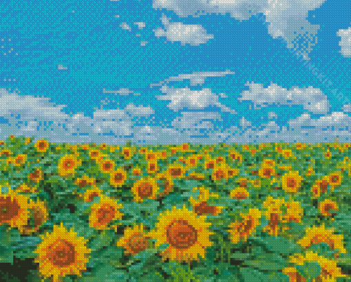 Sunflower Filed With Blue Sky Diamond Painting