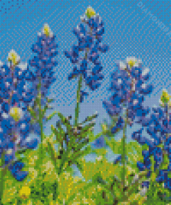 Texas Bluebonnets Diamond Painting