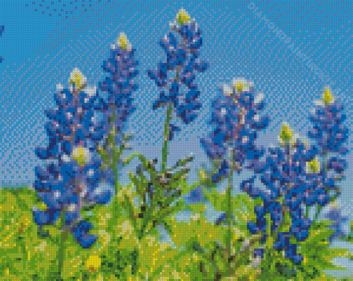 Texas Bluebonnets Diamond Painting