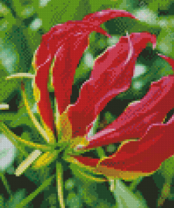 The Gloriosa Lily Plant Diamond Painting