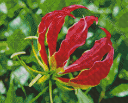 The Gloriosa Lily Plant Diamond Painting