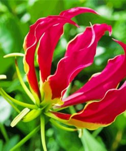 The Gloriosa Lily Plant Diamond Painting