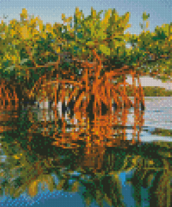 Mangrove Trees Diamond Painting