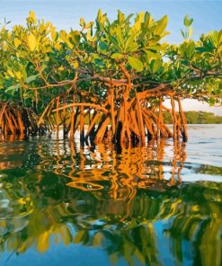 Mangrove Trees Diamond Painting