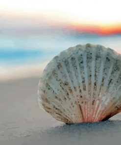 Sea Shell On Beach Diamond Painting