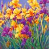 Purple Bearded Iris Diamond Painting