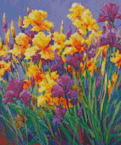 Purple Bearded Iris Diamond Painting