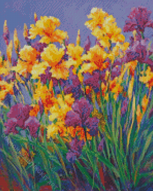 Purple Bearded Iris Diamond Painting