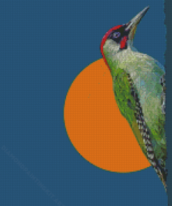 Abstract Woodpecker Bird Diamond Painting