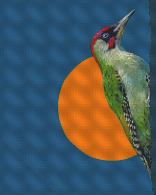 Abstract Woodpecker Bird Diamond Painting