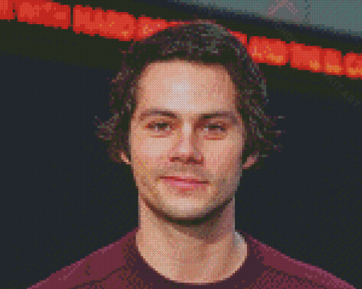 Aesthetic Dylan O Brien Diamond Painting