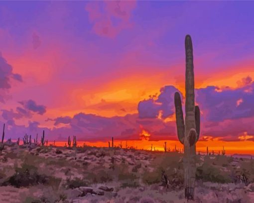 Aesthetic Sunset Arizona Diamond Painting