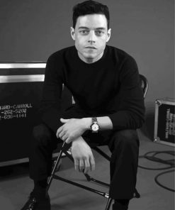 Black And White Rami Malek Diamond Painting