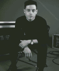 Black And White Rami Malek Diamond Painting