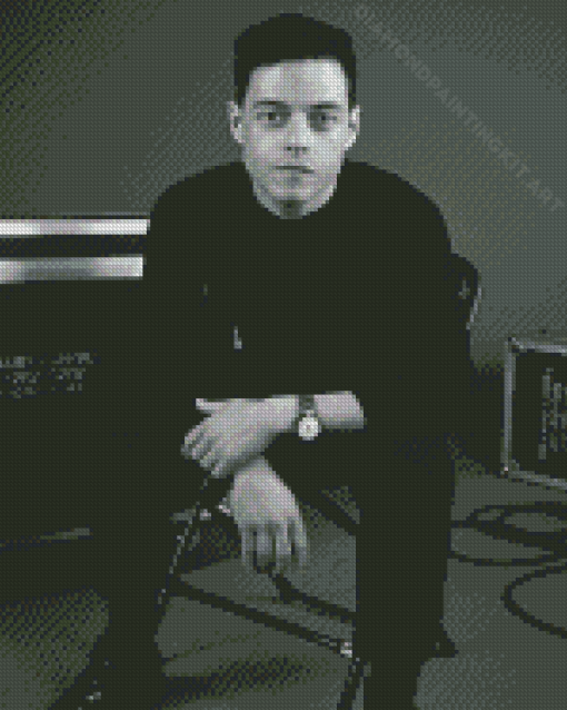 Black And White Rami Malek Diamond Painting