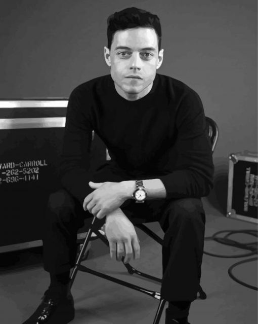 Black And White Rami Malek Diamond Painting