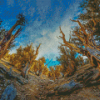 Bristlecone Pine Trees Diamond Painting