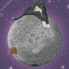 Cat And Grey Moon Diamond Painting