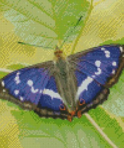 Cool Great Purple Emperor Diamond Painting